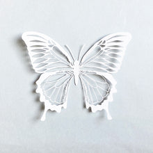 画像をギャラリービューアに読み込む, Butterfly