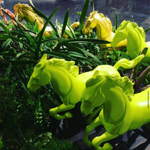 画像をギャラリービューアに読み込む, superfuture STUDIO 1時間レンタル