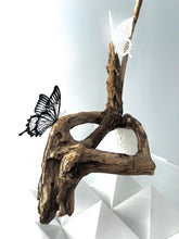 画像をギャラリービューアに読み込む, Butterfly