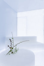 画像をギャラリービューアに読み込む, superfuture STUDIO 1時間レンタル