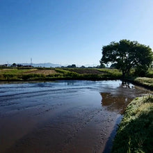 画像をギャラリービューアに読み込む, 栽培期間中肥料農薬不使用つや姫「三八神饌米」令和7年産 / 2kg