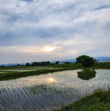 画像をギャラリービューアに読み込む, 栽培期間中肥料農薬不使用つや姫「三八神饌米」令和7年産 / 2kg