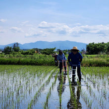 画像をギャラリービューアに読み込む, 栽培期間中肥料農薬不使用つや姫「三八神饌米」令和7年産 / 2kg