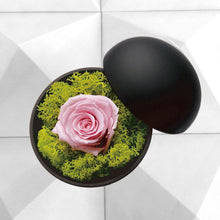 画像をギャラリービューアに読み込む, Flower of Love + 薔薇の生体水 GIFT SET