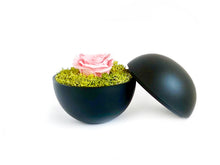 画像をギャラリービューアに読み込む, Flower of Love + 薔薇の生体水 GIFT SET