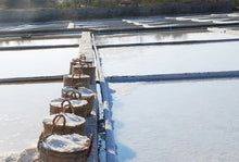 画像をギャラリービューアに読み込む, Organic Salt Tao