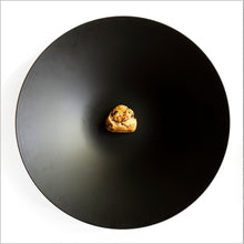 画像をギャラリービューアに読み込む, Conport 240