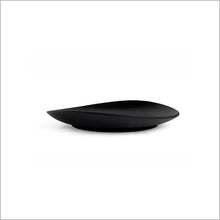 画像をギャラリービューアに読み込む, wave plate