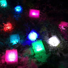 画像をギャラリービューアに読み込む, MIYAVIE Cube light 110