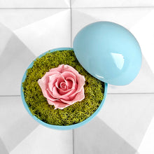 画像をギャラリービューアに読み込む, Flower of Love - globe "baby pink rose & green moss"