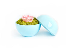 画像をギャラリービューアに読み込む, Flower of Love - globe "baby pink rose & green moss"