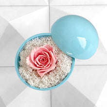 画像をギャラリービューアに読み込む, Flower of Love - globe "baby pink rose & white moss"