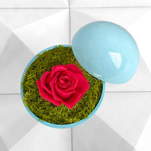 画像をギャラリービューアに読み込む, Flower of Love - globe "hot pink rose & green moss"