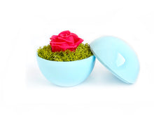 画像をギャラリービューアに読み込む, Flower of Love - globe "hot pink rose & green moss"