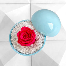 画像をギャラリービューアに読み込む, Flower of Love - globe "hot pink rose & white moss"