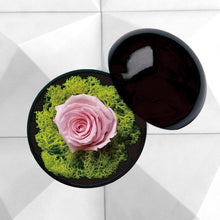 画像をギャラリービューアに読み込む, Flower of Love - globe "baby pink rose & green moss"