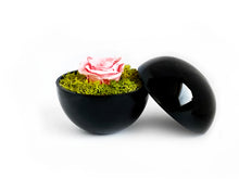 画像をギャラリービューアに読み込む, Flower of Love - globe "baby pink rose & green moss"