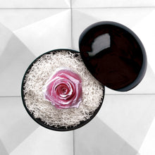 画像をギャラリービューアに読み込む, Flower of Love - globe "baby pink rose & white moss"