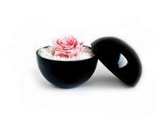画像をギャラリービューアに読み込む, Flower of Love - globe "baby pink rose & white moss"