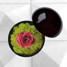 画像をギャラリービューアに読み込む, Flower of Love - globe "hot pink rose & green moss"