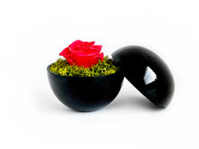 画像をギャラリービューアに読み込む, Flower of Love - globe "hot pink rose & green moss"