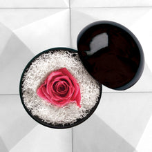 画像をギャラリービューアに読み込む, Flower of Love - globe "hot pink rose & white moss"