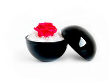 画像をギャラリービューアに読み込む, Flower of Love - globe "hot pink rose & white moss"