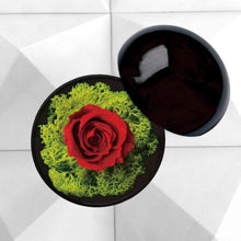 画像をギャラリービューアに読み込む, Flower of Love - globe "red rose & green moss"