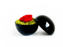 画像をギャラリービューアに読み込む, Flower of Love - globe "red rose & green moss"