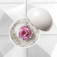 画像をギャラリービューアに読み込む, Flower of Love - globe "baby pink rose & white moss"