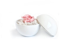 画像をギャラリービューアに読み込む, Flower of Love - globe "baby pink rose & white moss"