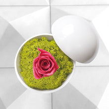 画像をギャラリービューアに読み込む, Flower of Love - globe "hot pink rose & green moss"