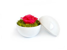 画像をギャラリービューアに読み込む, Flower of Love - globe "hot pink rose & green moss"