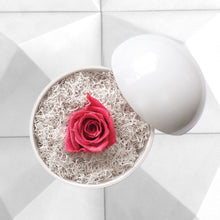 画像をギャラリービューアに読み込む, Flower of Love - globe "hot pink rose & white moss"