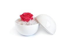 画像をギャラリービューアに読み込む, Flower of Love - globe "hot pink rose & white moss"