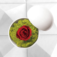 画像をギャラリービューアに読み込む, Flower of Love - globe "red rose & green moss"