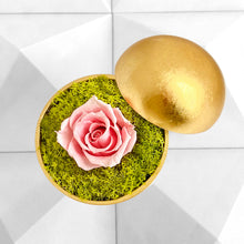 画像をギャラリービューアに読み込む, Flower of Love - globe "baby pink rose & green moss"