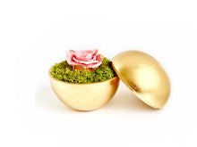 画像をギャラリービューアに読み込む, Flower of Love - globe "baby pink rose & green moss"