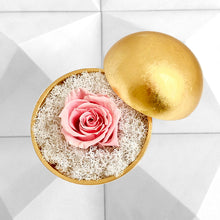 画像をギャラリービューアに読み込む, Flower of Love - globe "baby pink rose & white moss"