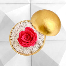 画像をギャラリービューアに読み込む, Flower of Love - globe "hot pink rose & white moss"