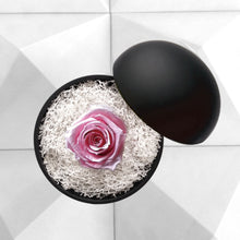 画像をギャラリービューアに読み込む, Flower of Love - globe "baby pink rose & white moss"