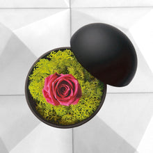 画像をギャラリービューアに読み込む, Flower of Love - globe "hot pink rose & green moss"