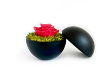 画像をギャラリービューアに読み込む, Flower of Love - globe "hot pink rose & green moss"