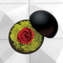 画像をギャラリービューアに読み込む, Flower of Love - globe "red rose & green moss"