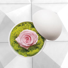 画像をギャラリービューアに読み込む, Flower of Love - globe "baby pink rose & green moss"