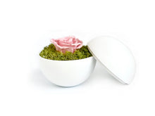 画像をギャラリービューアに読み込む, Flower of Love - globe "baby pink rose & green moss"