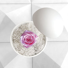 画像をギャラリービューアに読み込む, Flower of Love - globe "baby pink rose & white moss"