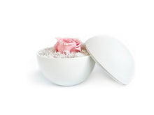 画像をギャラリービューアに読み込む, Flower of Love - globe "baby pink rose & white moss"