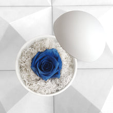 画像をギャラリービューアに読み込む, Flower of Love - globe "blue rose & white moss"