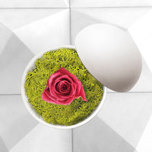 画像をギャラリービューアに読み込む, Flower of Love - globe "hot pink rose & green moss"